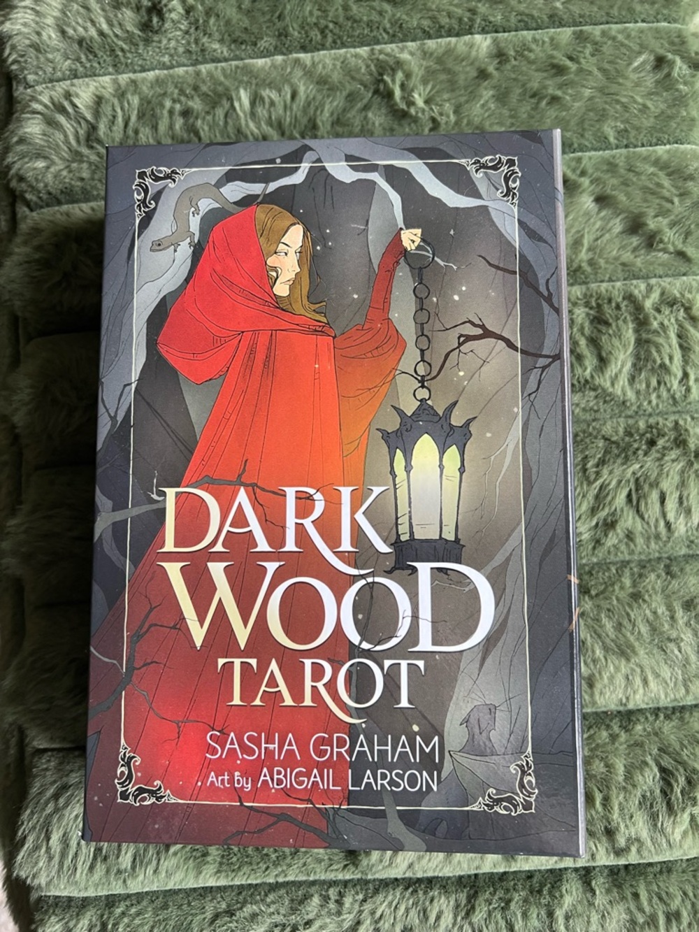 Dark Wood Tarot Deck by Sasha Graham - Red Cloak Artwork
